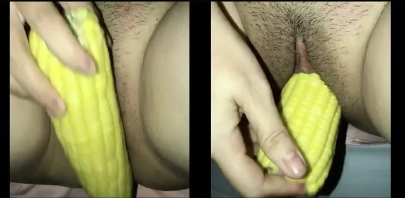 Dam dang quá em móc lồn với bắp